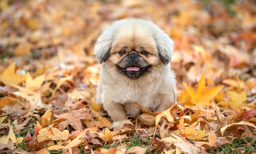 夏の旅行に必要な持ち物はおりものとは？
