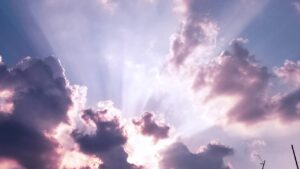 梅干しを使った夏の健康効果とは？