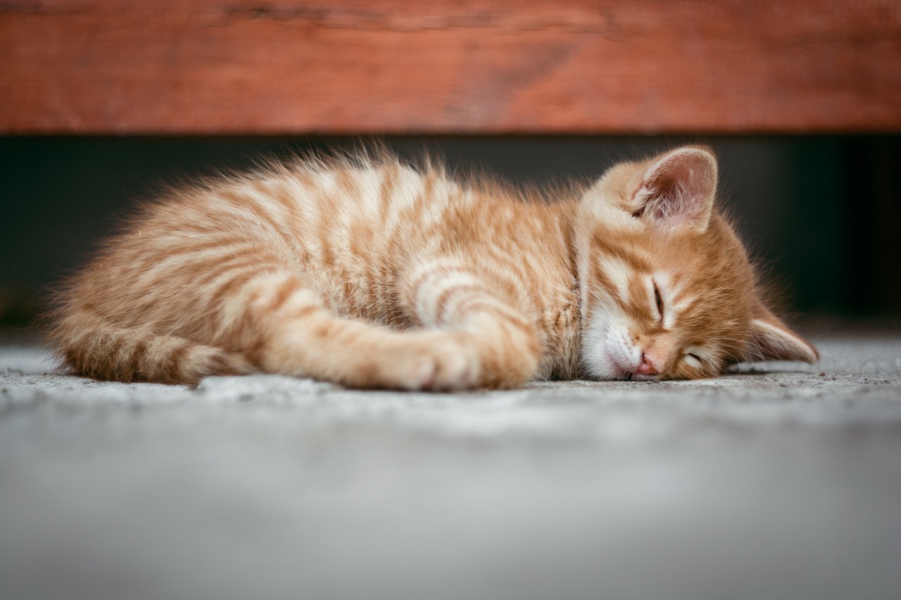 睡眠の質を上げるために夏に試すべき方法は？