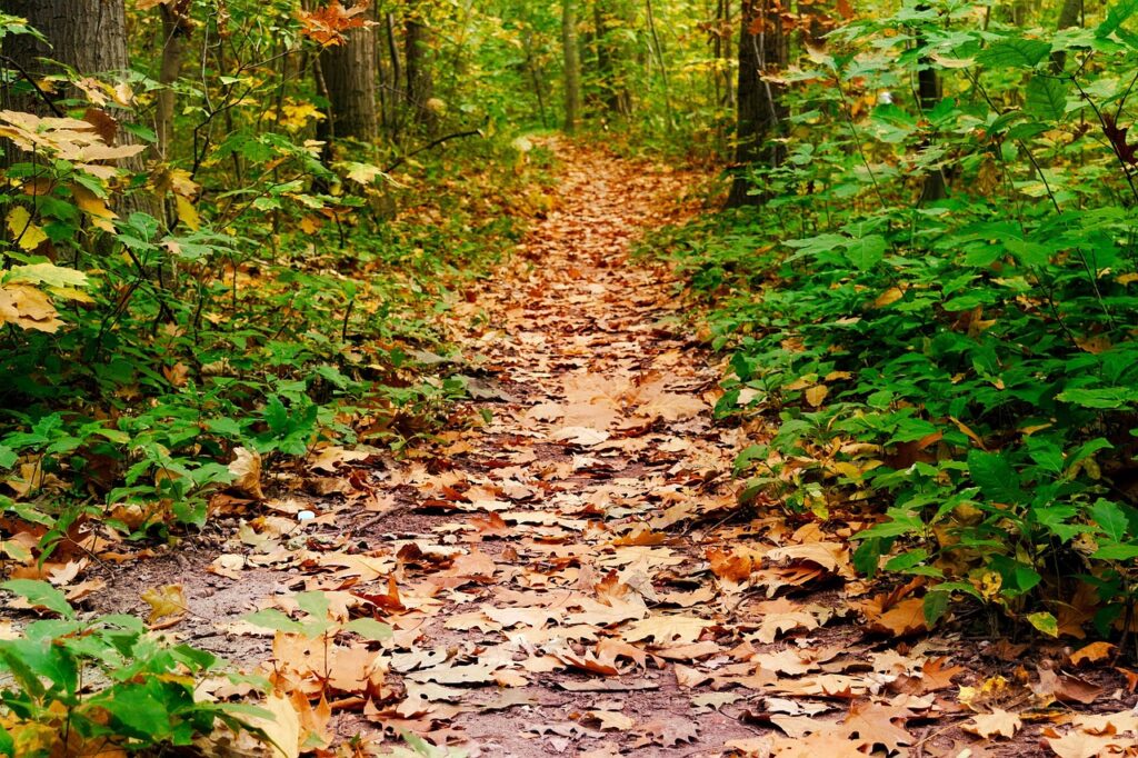 鉄分不足が引き起こす夏バテ対策にはどんな方法がある？