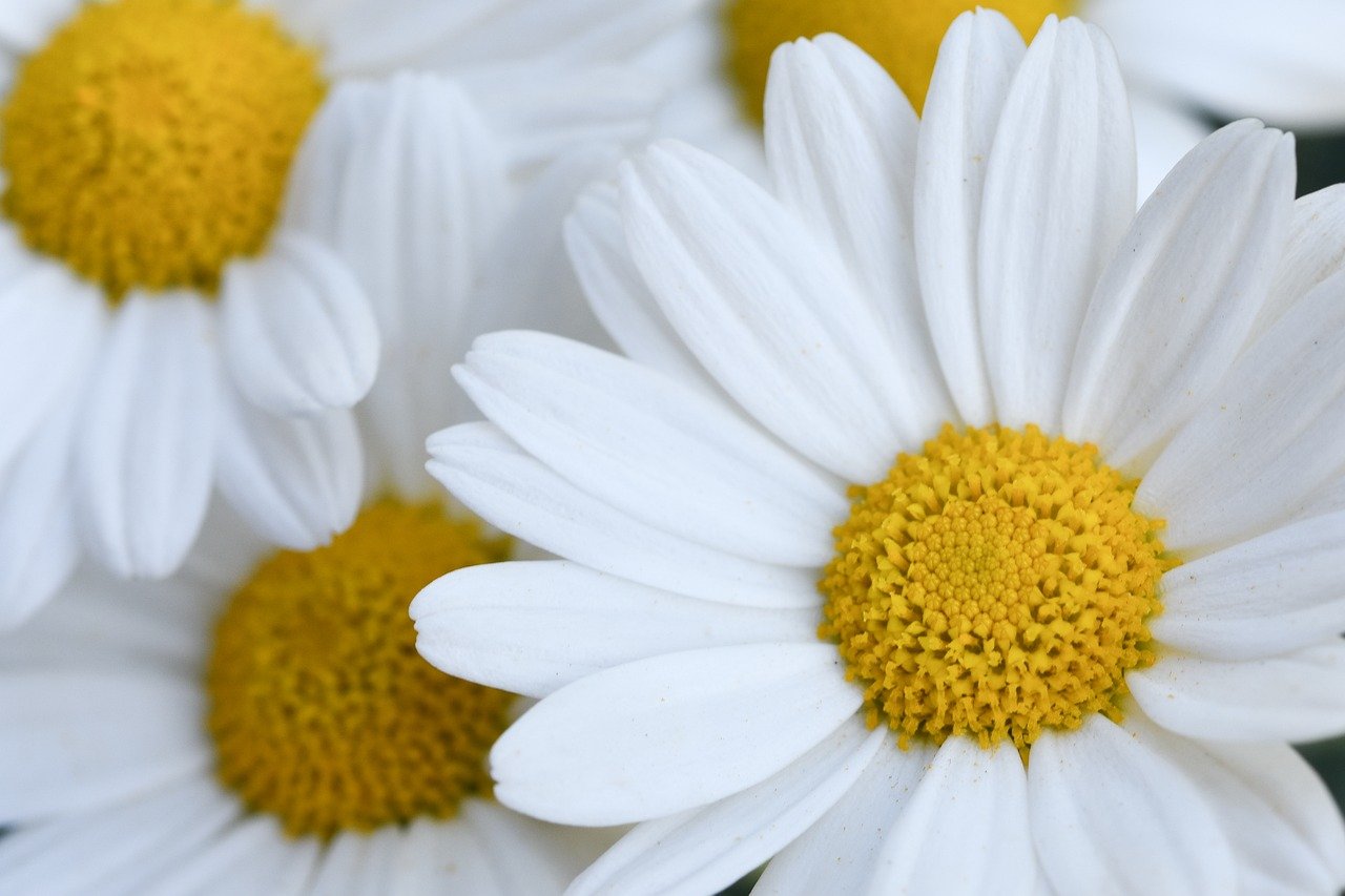 夏の肩こりを解消するための効果的な方法は？