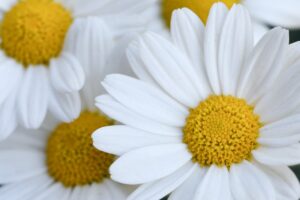 夏の肩こりを解消するための効果的な方法は？