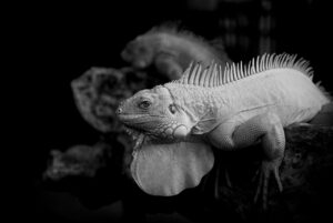 汗をかかないことのデメリットとは何ですか？