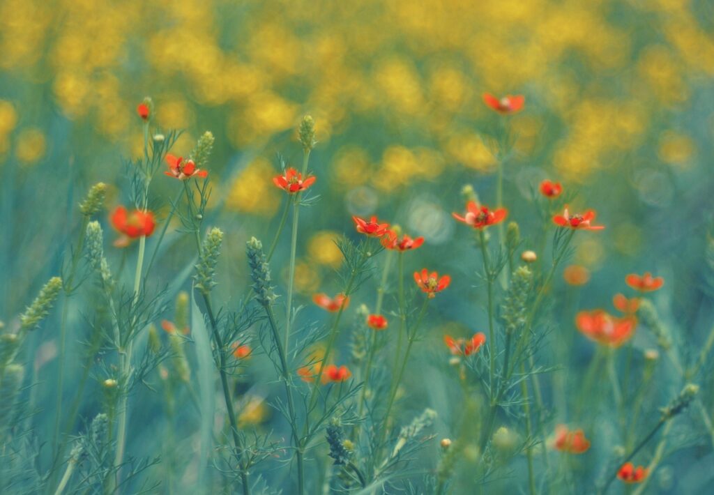 熱はないのにだるい夏を乗り切るための対処法は？