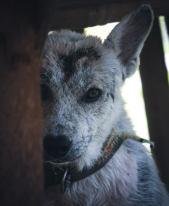 クーラーでお腹を壊す原因と対策は？