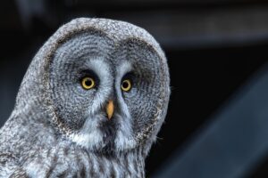 冷房病の症状を他の病気と比較すると何がわかる？
