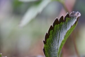 冷房病を仕事中に防ぐための効果的な対策は？